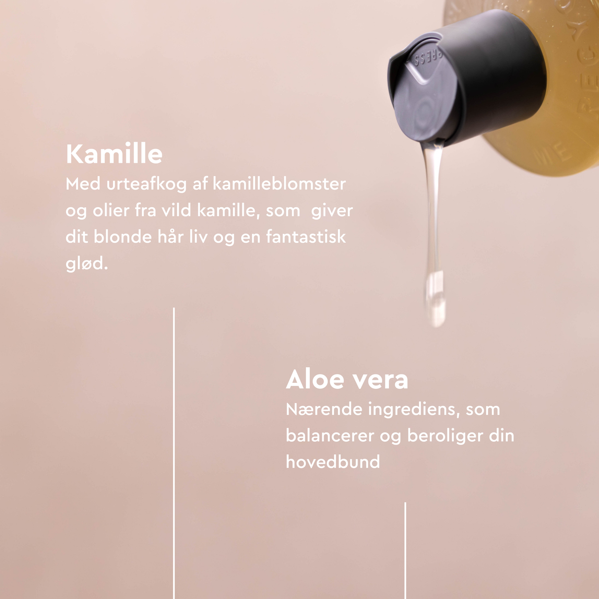Shampoo - Camomile - Blond Hair | 250 ml fra Urtekram