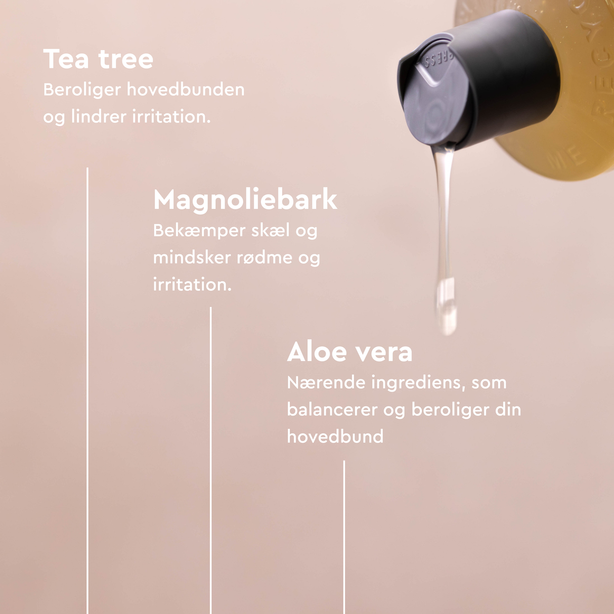 Shampoo - Tea Tree - Irritated Scalp | 250 ml