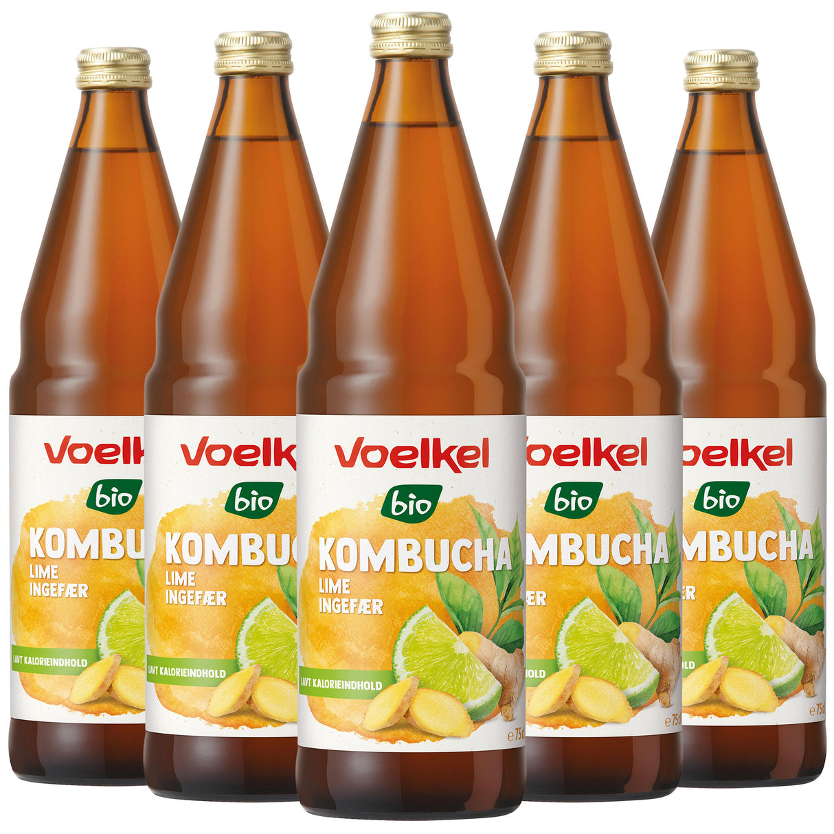Voelkel Kombucha Lime - Ingefær Økologisk | 5 x 750 ml