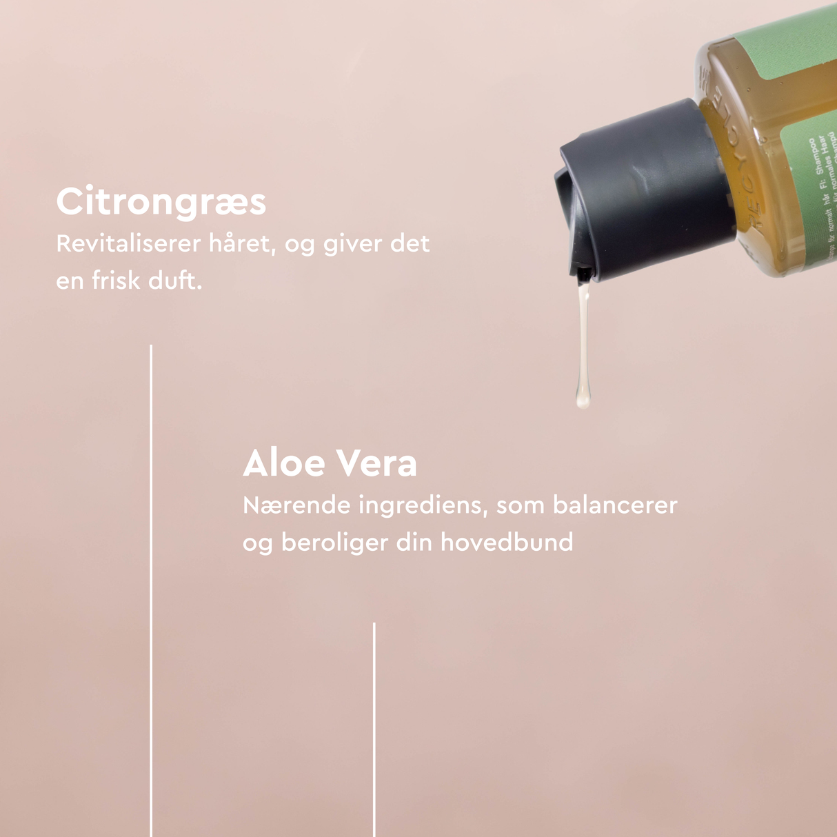 Urtekram Shampoo Wild Lemongrass T. Normalt Hår | 500 ml fra Urtekram