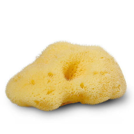 Natursvamp Silke 4-5 cm fra Cocoon