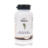 Silica fra Camette