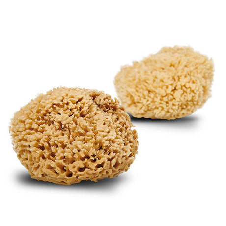 Natursvamp Honey Wool 13-14 cm fra Cocoon