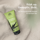 Revitalizing Conditioner Aloe Vera fra Urtekram
