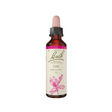 Bach Stilk Eg fra Bach Originale Blomsterremedier