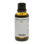 Bryophyllum D6