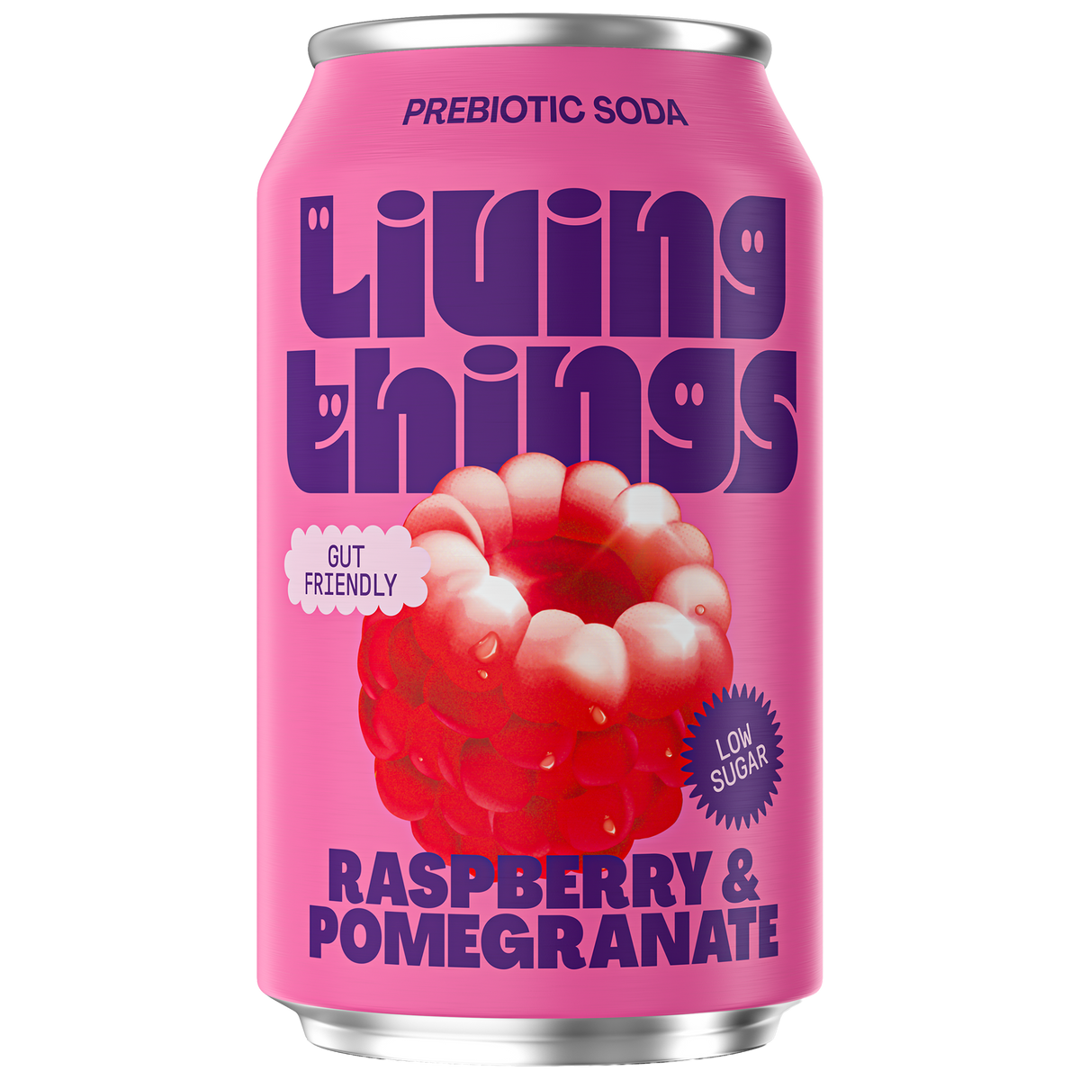 Raspberry & Pomegranate Soda
