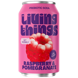 Raspberry & Pomegranate Soda